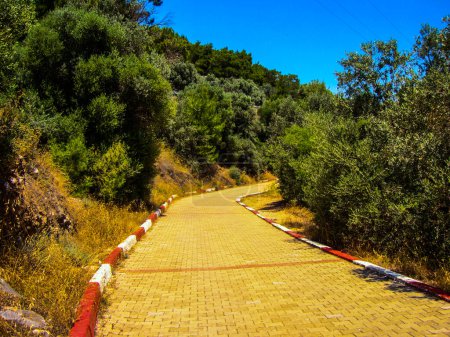 Foto de Pavimentado carretera clored bordes verde plantas azul cielo - Imagen libre de derechos