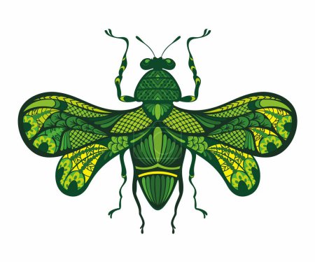 Escarabajo fantástico dibujando a mano. Un insecto artístico. Ilustración del vector entomológico