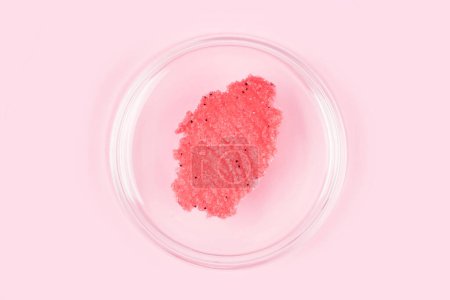Téléchargez les photos : Sugar body scrub smear texture. Pink red scrub smudge in petri glass dish over pastel pink background. Skin care product with fruit extract - en image libre de droit