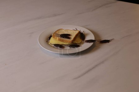 Foto de Primer plano de bocadillo con cucarachas en la mesa blanca - Imagen libre de derechos