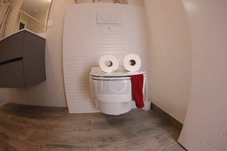 Téléchargez les photos : Plan grand angle de toilette avec visage en rouleaux de papier et serviette rouge, concept comique - en image libre de droit
