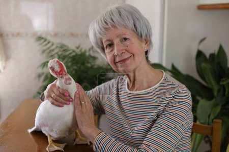 Téléchargez les photos : Portrait de heureuse femme mûre aux cheveux gris avec canard domestique mignon sur la table à la maison - en image libre de droit