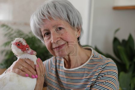 Téléchargez les photos : Portrait de belle femme mature aux cheveux gris avec canard domestique mignon sur la table à la maison - en image libre de droit