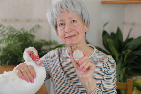 Photo for Portrait of mature grey haired woman with cute domestic duck on table and her egg in hand at home - Royalty Free Image