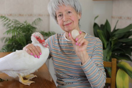 Téléchargez les photos : Portrait de femme aux cheveux gris mature avec un canard domestique mignon sur la table et son oeuf à la main à la maison - en image libre de droit