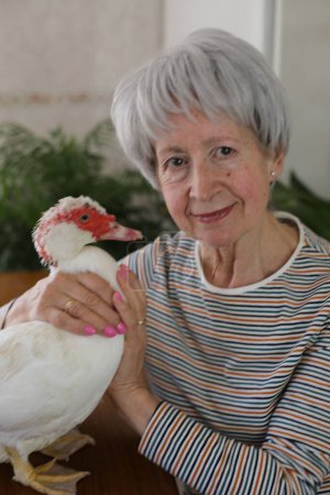 Téléchargez les photos : Femme âgée et son canard sur fond, gros plan - en image libre de droit