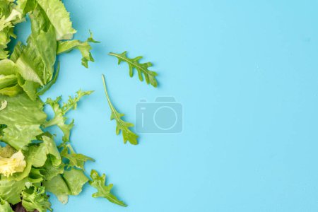 Foto de Ensalada mezcla hojas de fondo. Patrón de ensalada fresca con rúcula, lechuga púrpura, espinacas, frisee y hoja de acelga - Imagen libre de derechos