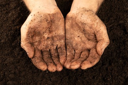 Foto de Hands covered with earth. Dirty hands of a working Farmer - corns on the palms in abrasions. hard work concept - Imagen libre de derechos