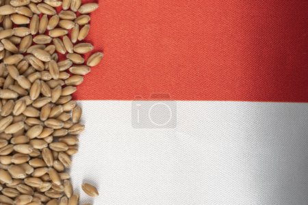 Téléchargez les photos : Grains de blé sur le drapeau jaune et bleu de la Pologne, crise céréalière en Pologne, concept de crise de la faim mondiale - en image libre de droit