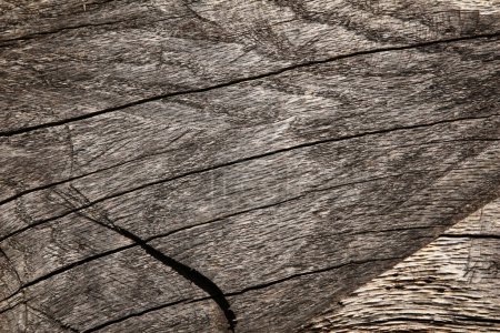 Foto de Fondo de madera agrietada antigua con muchos rastros de corte. Textura áspera del panel de madera natural - Imagen libre de derechos