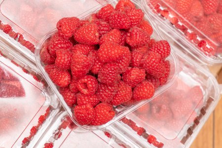 Foto de Un montón de frambuesas frescas rojas maduras en cajas. Cosecha, temporada de bayas. - Imagen libre de derechos
