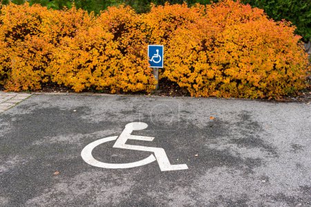 Photo for Parking for people with disabilities sign, disabled parking sign, handicapped parking sign - Royalty Free Image