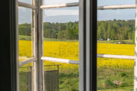 Alte Vintage-Fenster Ausblick gelbes Feld von Raps