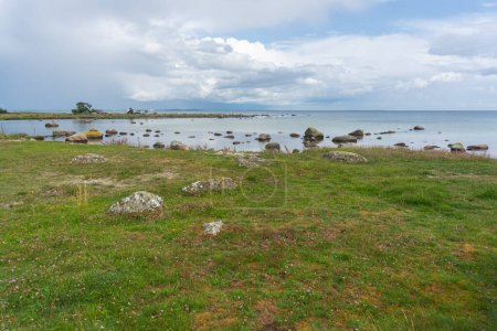 Una hermosa playa rocosa salvaje junto al mar. Piedras grandes y hierba verde. Vista típica del paisaje en Suecia.