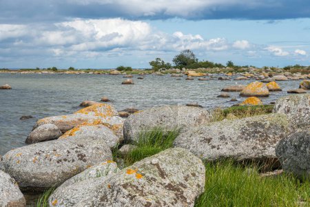 Ein schöner felsiger, wilder Strand am Meer. Große Steine und grünes Gras. Typische Landschaft in Schweden.