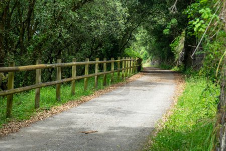 Téléchargez les photos : Sentier pédestre avec clôture en bois. Camino de Santiago, Pays Basque, Espagne. - en image libre de droit