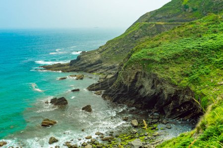 rocky shore with green vegetation. Atlantic coast in Spain, Basque Country. Camino de Santiago.