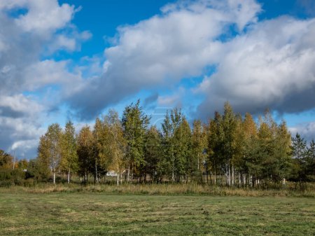 Téléchargez les photos : Paysage d'automne avec des arbres aux feuilles vertes et jaunes avec ciel bleu et nuages blancs au-dessus - en image libre de droit