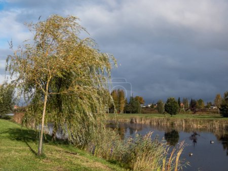 Téléchargez les photos : Beau paysage de paysages automnaux avec grand lac, arbres et végétation dans des couleurs jaunes et chaudes avec ciel gris au-dessus - en image libre de droit