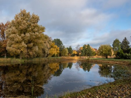 Téléchargez les photos : Beau paysage de paysages automnaux avec un grand lac, des arbres éperons, des arbres et de la végétation dans des couleurs jaunes, orange et chaudes avec ciel bleu et nuages blancs au-dessus - en image libre de droit