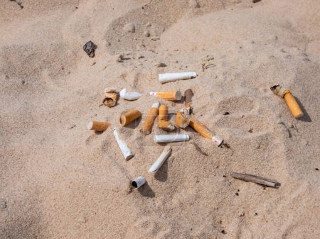 Foto de Montón de colillas de cigarrillos en la arena de la playa recogidos durante la limpieza en la playa del mar Báltico como contaminación plástica tóxica. La mayoría de los artículos en el mundo. Plogging, protección del medio ambiente - Imagen libre de derechos