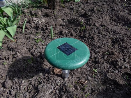 Ultrasonic, solar-powered mole repellent or repeller device in the soil in a vegetable bed in the garden. Device with beeping to keep out pests
