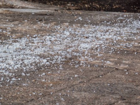 Téléchargez les photos : Plan macro de gros grains de sel blanc sur la surface glacée du trottoir en hiver au soleil. Appliquer du sel sur les sentiers pour garder la surface dégagée et les gens en sécurité par temps hivernal contre la glace ou la neige - en image libre de droit