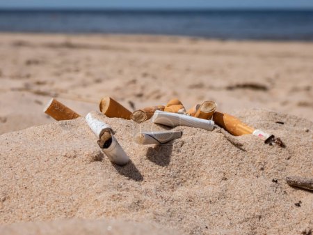 Téléchargez les photos : Différents types de mégots de cigarette dans le sable blanc sur la plage de la mer Baltique avec de l'eau en arrière-plan comme pollution plastique toxique dans le sable de la plage. La plupart des articles en plastique jetés dans le monde. Pollution des plages - en image libre de droit