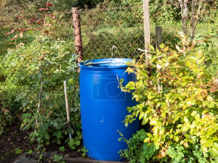 Cañón de agua azul de plástico reutilizado para recoger y almacenar agua de lluvia para regar plantas llenas de agua del techo durante el día de verano rodeado de vegetación.