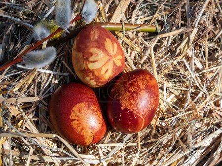 Makroaufnahme von Ostereiern verziert mit natürlichen Pflanzen und Blüten in Zwiebelschalen gekocht. Traditionelle Art und Weise, gelbe Pflanzenmuster auf braunen Eiern in hellem Sonnenlicht auf Heu zu erzeugen