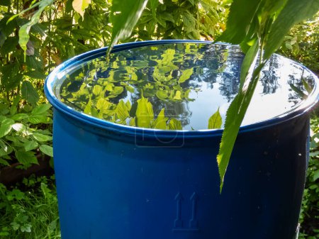 Cañón de agua azul de plástico reutilizado para recoger y almacenar agua de lluvia para regar plantas llenas de agua del techo durante el día de verano rodeado de vegetación.