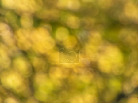 Bright yellow and black bokeh effect and purposely blurred view of sunlight. Blurry background with photographic bokeh effect in golden tones