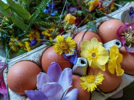 Hausgemachte traditionelle Ostereierfärbung mit verschiedenen Blättern, Pflanzen und Blumen. Ei mit Blüten und Blättern zum Dekorieren