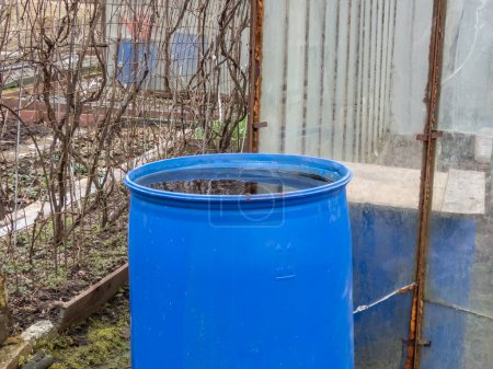 Kunststoff-Wasserfass zum Sammeln und Speichern von Regenwasser zur Bewässerung von Pflanzen mit Wasser im Frühjahr wiederverwendet