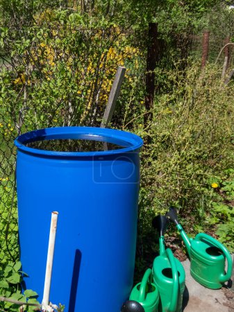 Blaues Kunststoff-Wasserfass zum Sammeln und Speichern von Regenwasser zur Bewässerung von Pflanzen voller Wasser und im Sommer umgeben von Gemüsebeeten und grünen Gießkannen