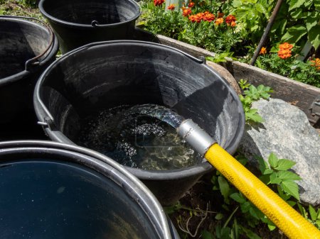 Photo for View of empty plastic buckets filling up with water pouring from a plastic hose in the garden in summer heat - Royalty Free Image