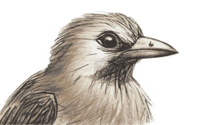 Foto de Dibujo a mano de pájaro dibujo arte - Imagen libre de derechos