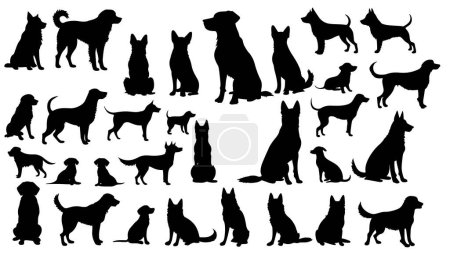 Illustration for Set of a fox silhouette vector - Royalty Free Image