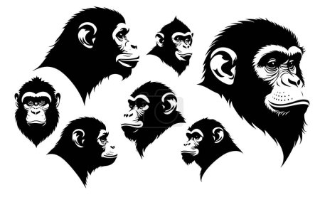 conjunto de un vector de silueta cabeza de mono