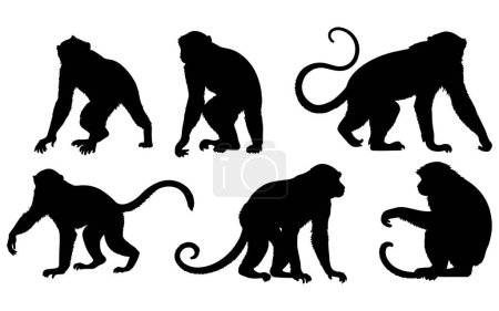 conjunto de una silueta de mono vector ilustración