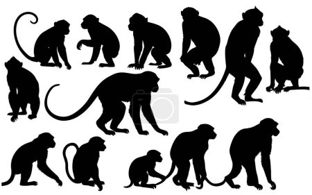 Ilustración de Conjunto de una silueta de mono vector ilustración - Imagen libre de derechos