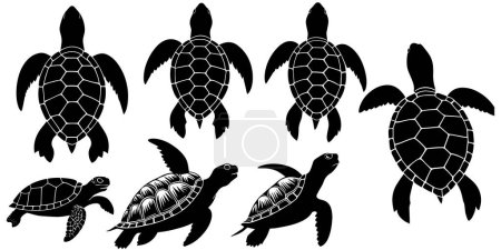  Set of a turtle silhouette vector