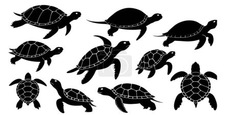  Set of a turtle silhouette vector