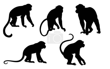 conjunto de una silueta de mono vector ilustración