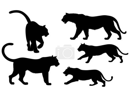 set of a tiger silhouette vector illustration