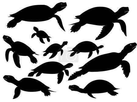 Set of a turtle silhouette vector