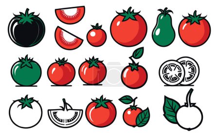 conjunto de un vector icono de tomates