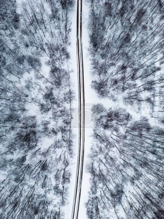 Photo for Aerial view of the road in the forest - Royalty Free Image