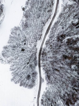 Photo for Aerial view of snow covered road in winter forest - Royalty Free Image