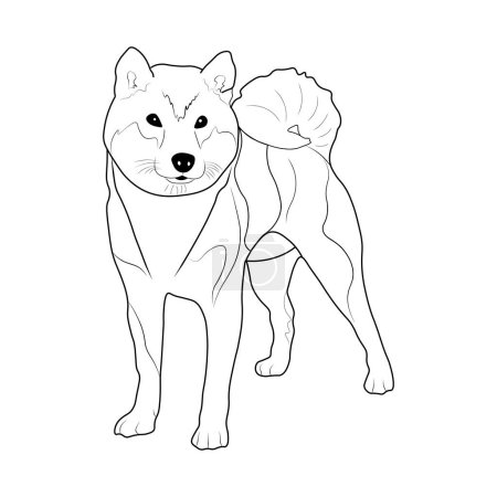 Shiba Iny. Coloring book for children.